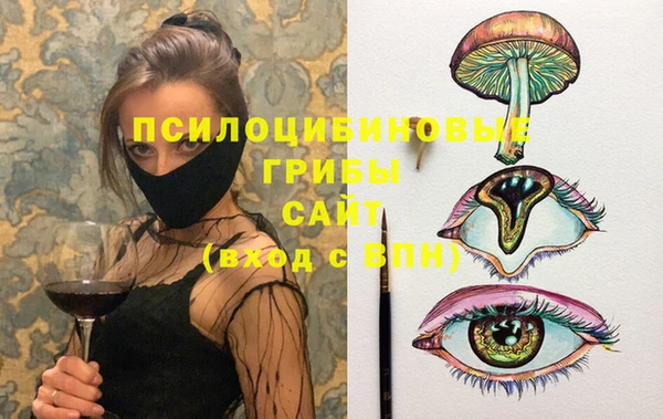 дмт Лиски