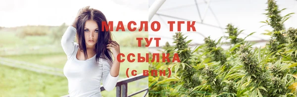 прущие грибы Магас