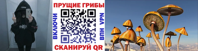 цены   Чулым  Псилоцибиновые грибы мухоморы 